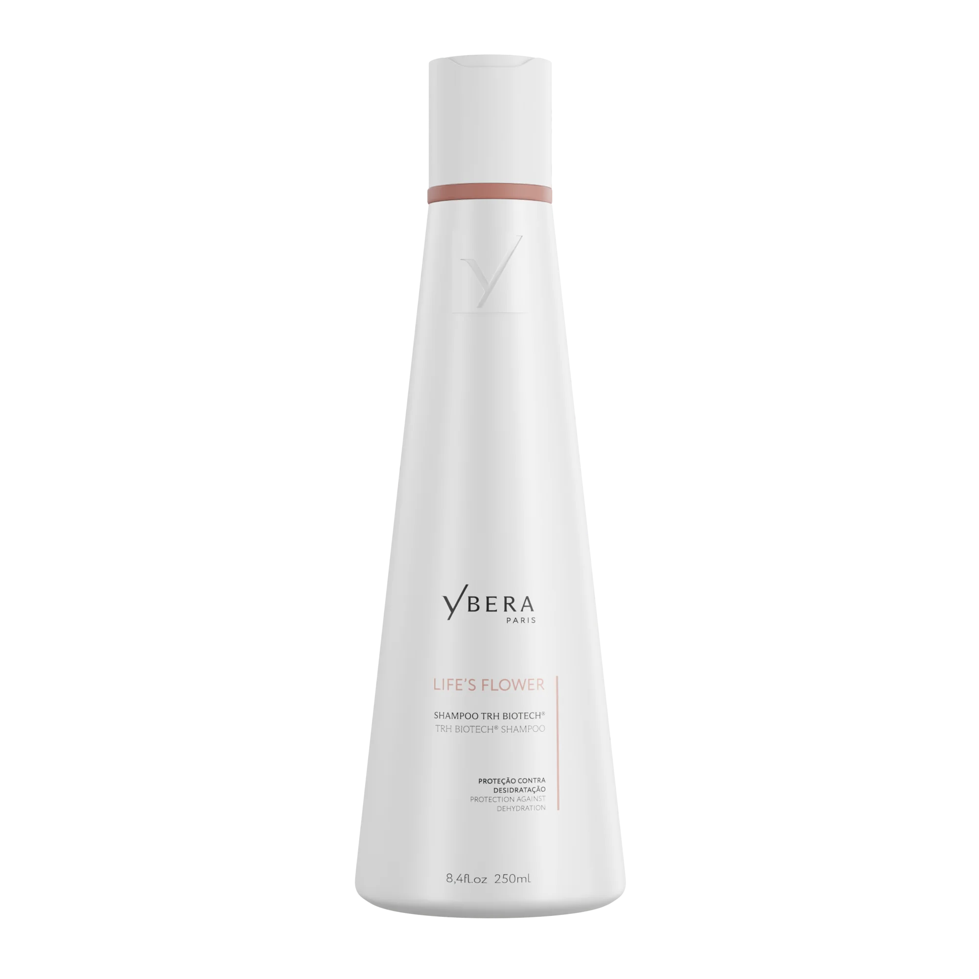 Shampoo 250 mL + Mask 200 g + Spendor Oil 90 mL (Special Price) - Image 3